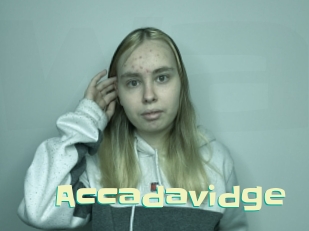 Accadavidge