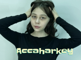 Accaharkey