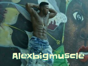 Alexbigmuscle