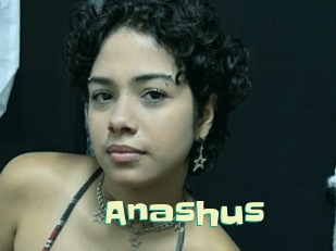 Anashus