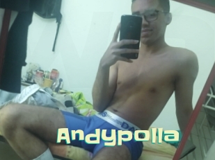 Andypolla