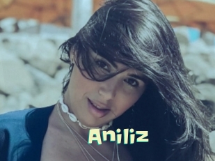 Aniliz