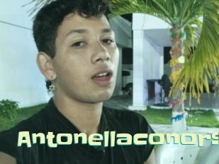 Antonellaconors