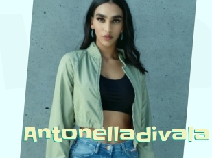 Antonelladivala