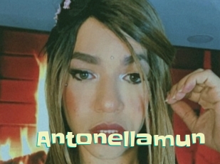 Antonellamun