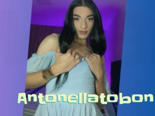 Antonellatobon