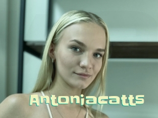 Antoniacatts