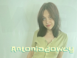 Antoniadowey