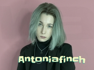 Antoniafinch