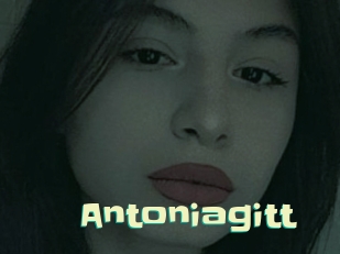 Antoniagitt