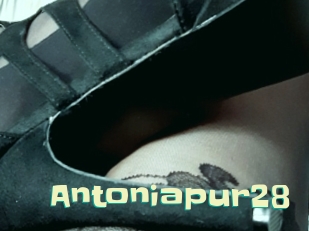 Antoniapur28