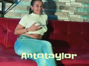 Antotaylor