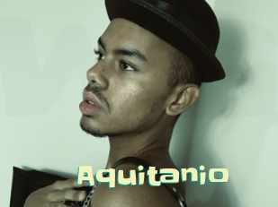 Aquitanio