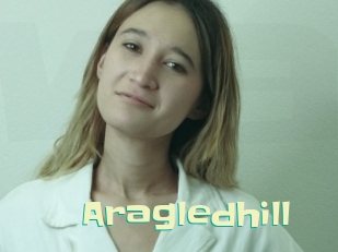 Aragledhill