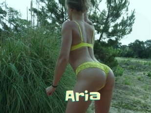 Aria