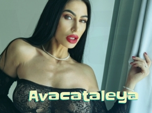 Avacataleya