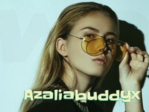 Azaliabuddyx