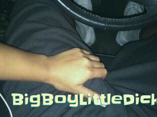 BigBoyLittleDick