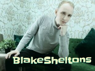 BlakeSheltons