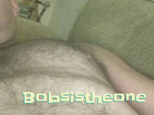 Bobsistheone