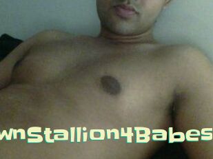 BrownStallion4Babes