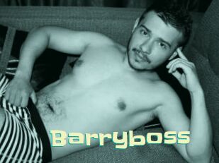 Barryboss