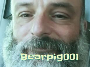 Bearpig001