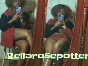 Bellarosepotter