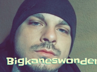 Bigkaneswonder