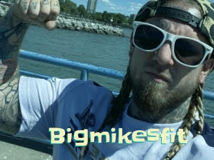 Bigmikesfit