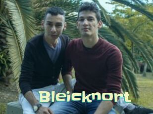 Bleicknort