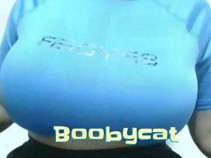 Boobycat