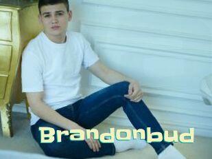 Brandonbud