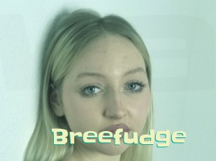 Breefudge