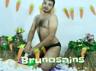 Brunosains