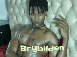 Brybilden