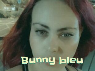Bunny_bleu