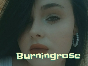 Burningrose