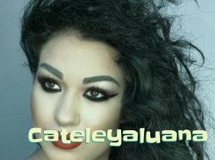 Cateleyaluana