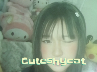 Cuteshycat