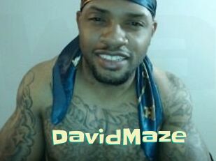 David_Maze