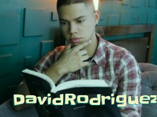 DavidRodriguez