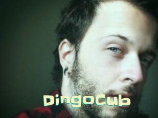 DingoCub