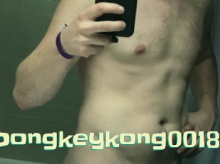 Dongkeykong0018