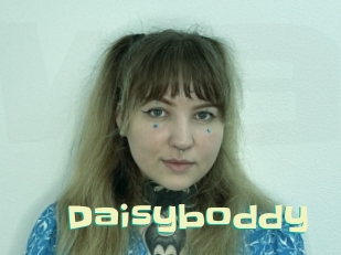 Daisyboddy