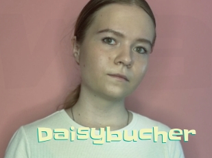 Daisybucher