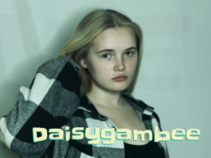 Daisygambee