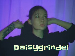 Daisygrindel