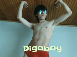 Digoboy