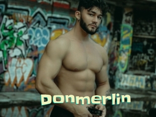 Donmerlin